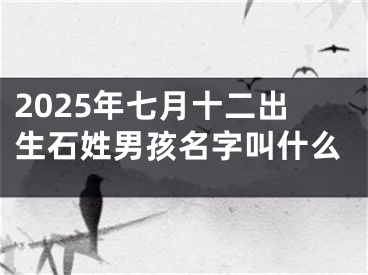 2025年七月十二出生石姓男孩名字叫什么