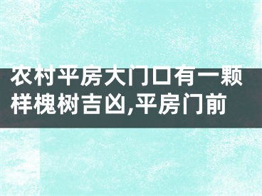农村平房大门口有一颗样槐树吉凶,平房门前