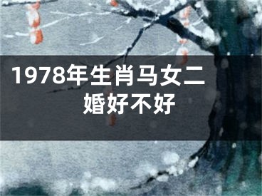 1978年生肖马女二婚好不好