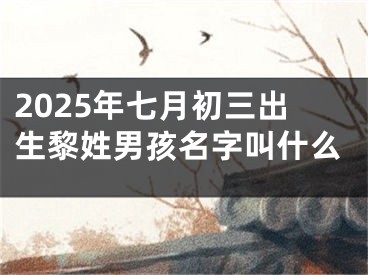 2025年七月初三出生黎姓男孩名字叫什么