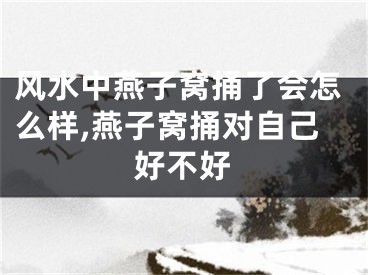风水中燕子窝捅了会怎么样,燕子窝捅对自己好不好
