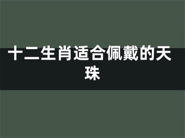 十二生肖适合佩戴的天珠