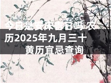 今日是安床吉日吗 农历2025年九月三十黄历宜忌查询
