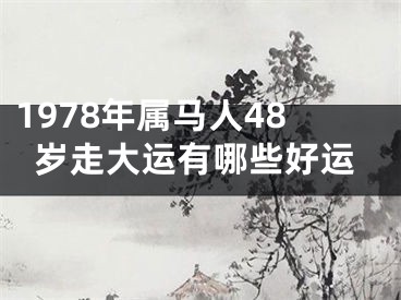 1978年属马人48岁走大运有哪些好运