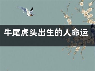 牛尾虎头出生的人命运