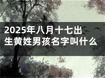 2025年八月十七出生黄姓男孩名字叫什么