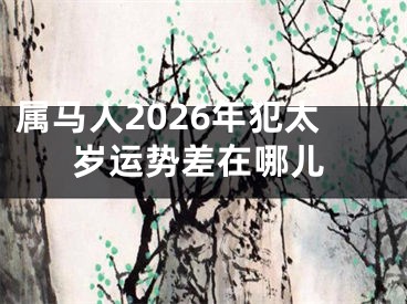 属马人2026年犯太岁运势差在哪儿