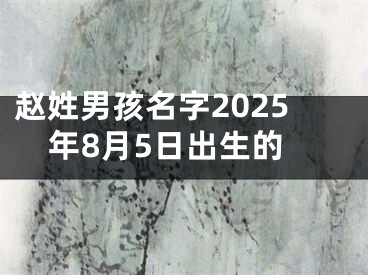 赵姓男孩名字2025年8月5日出生的