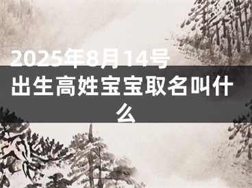 2025年8月14号出生高姓宝宝取名叫什么
