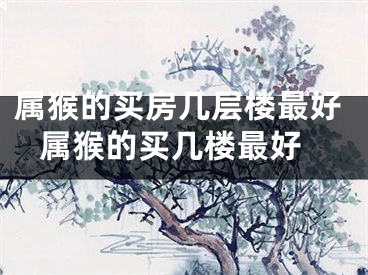属猴的买房几层楼最好 属猴的买几楼最好