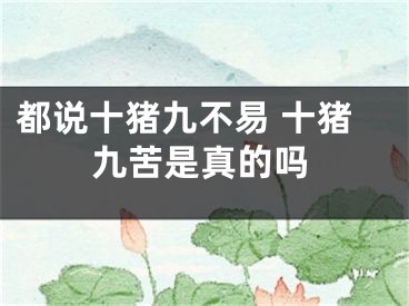 都说十猪九不易 十猪九苦是真的吗