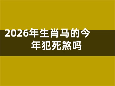 2026年生肖马的今年犯死煞吗
