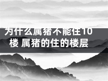 为什么属猪不能住10楼 属猪的住的楼层