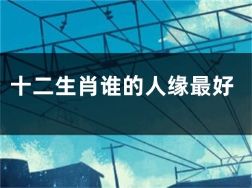 十二生肖谁的人缘最好