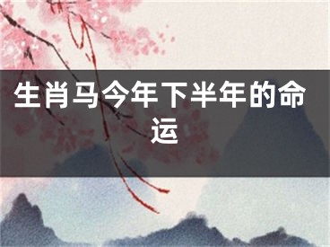 生肖马今年下半年的命运