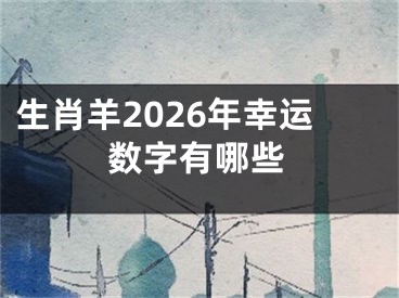 生肖羊2026年幸运数字有哪些
