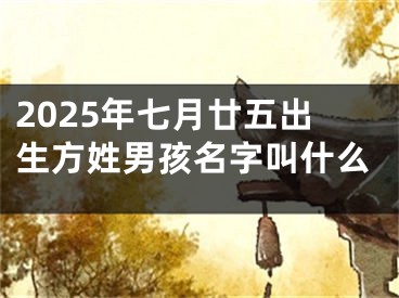 2025年七月廿五出生方姓男孩名字叫什么
