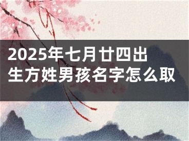 2025年七月廿四出生方姓男孩名字怎么取