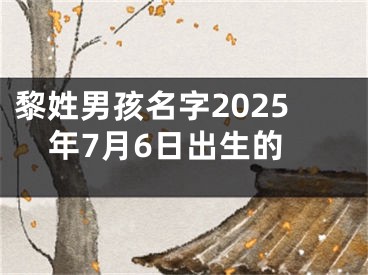 黎姓男孩名字2025年7月6日出生的