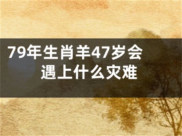 79年生肖羊47岁会遇上什么灾难