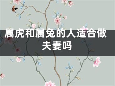 属虎和属兔的人适合做夫妻吗