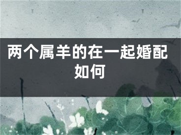 两个属羊的在一起婚配如何