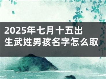 2025年七月十五出生武姓男孩名字怎么取