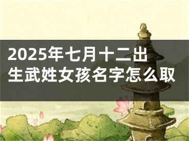 2025年七月十二出生武姓女孩名字怎么取