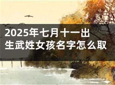 2025年七月十一出生武姓女孩名字怎么取