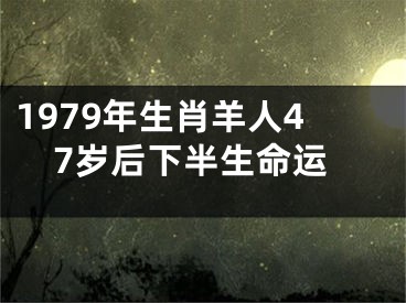 1979年生肖羊人47岁后下半生命运