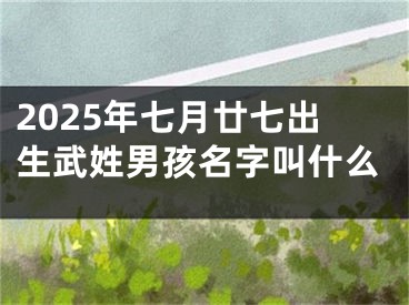 2025年七月廿七出生武姓男孩名字叫什么
