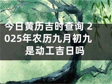 今日黄历吉时查询 2025年农历九月初九是动工吉日吗