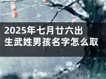 2025年七月廿六出生武姓男孩名字怎么取