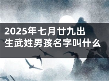 2025年七月廿九出生武姓男孩名字叫什么