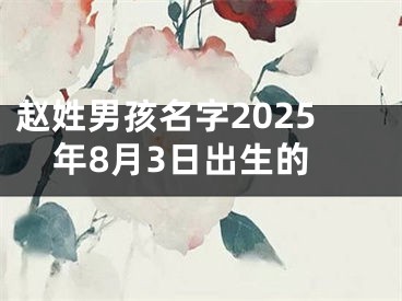 赵姓男孩名字2025年8月3日出生的