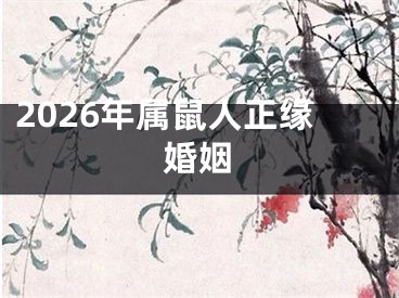 2026年属鼠人正缘婚姻