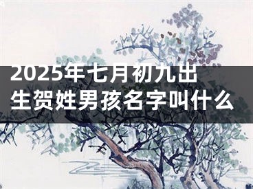 2025年七月初九出生贺姓男孩名字叫什么