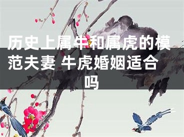 历史上属牛和属虎的模范夫妻 牛虎婚姻适合吗