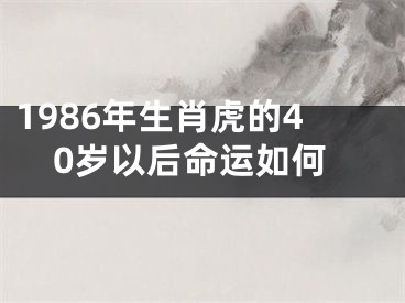 1986年生肖虎的40岁以后命运如何