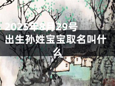 2025年8月29号出生孙姓宝宝取名叫什么
