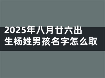 2025年八月廿六出生杨姓男孩名字怎么取