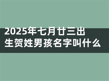 2025年七月廿三出生贺姓男孩名字叫什么