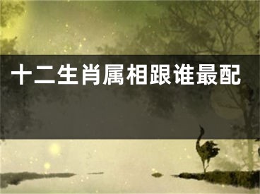 十二生肖属相跟谁最配 
