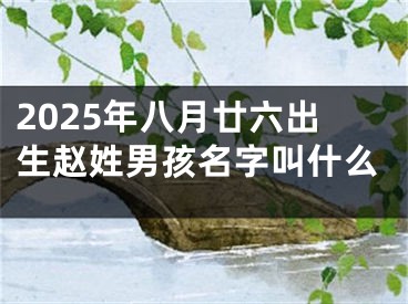 2025年八月廿六出生赵姓男孩名字叫什么