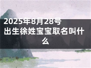 2025年8月28号出生徐姓宝宝取名叫什么