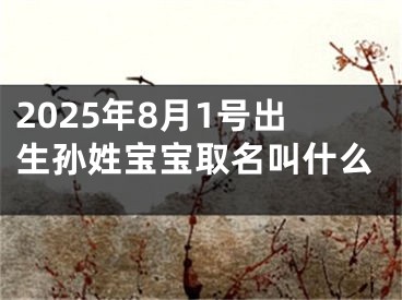 2025年8月1号出生孙姓宝宝取名叫什么