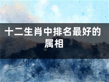 十二生肖中排名最好的属相