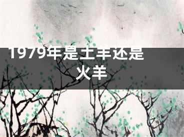1979年是土羊还是火羊