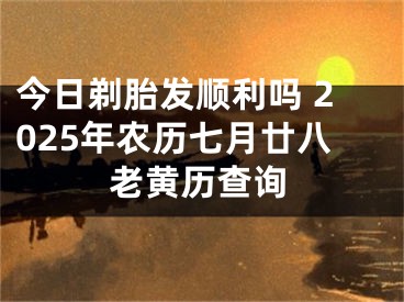 今日剃胎发顺利吗 2025年农历七月廿八老黄历查询