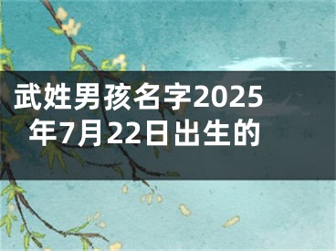 武姓男孩名字2025年7月22日出生的